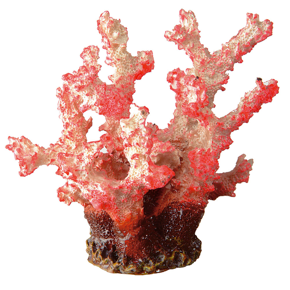 Balacoo Serbatoio di Pesce Corallo Ornamento Resina Pesce Nascondere Foro Decorazione Corallo Ornamento di Roccia Acquario Corallo per Negozio di Forniture per la casa di Pesci Serbatoio