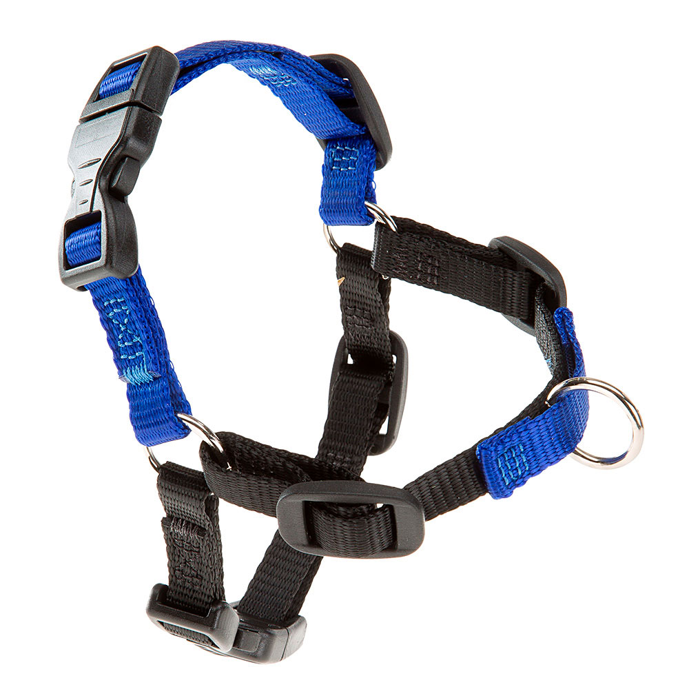 cetacea dog harness